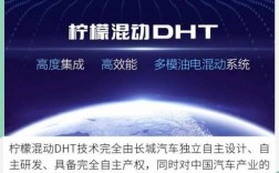 dht控股是什么公司（体内DHT是什么）