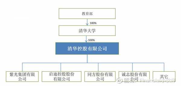 清华控股有限公司结构（清华控股有限公司结构分析）-图1