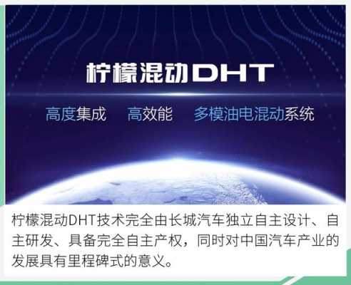 dht控股是什么公司（体内DHT是什么）-图1